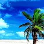 暑中お見舞い申し上げます！